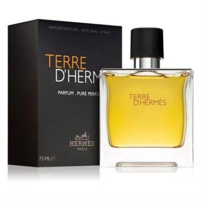 Hermes Terre D'Hermes Pure Erkek Parfümü EDP 100ml JLT