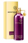 Montale Intense Cafe Edp 100 Ml Erkek Parfüm İTHAL