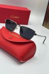 Cartier Gümüş İthal Unisex Güneş Gözlük G3779
