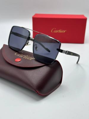 Cartier İthal Erkek Güneş Gözlüğü G3377-VLLZ
