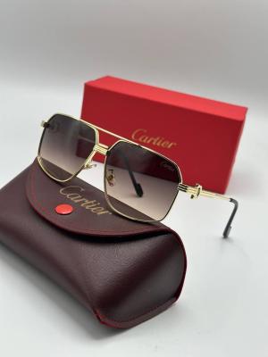 Cartier İthal Erkek Güneş Gözlüğü G3350-VLLZ