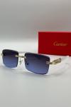 Cartier İthal Unisex Güneş Gözlük G3652-VLL