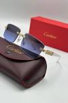 Cartier İthal Unisex Güneş Gözlük G3652-VLL