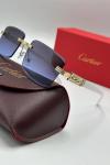 Cartier İthal Unisex Güneş Gözlük G3652-VLL