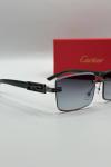 Cartier İthal Unisex Güneş Gözlük G3654-VLL