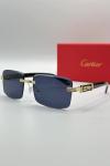 Cartier İthal Unisex Güneş Gözlük G3655-VLL