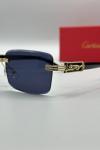 Cartier İthal Unisex Güneş Gözlük G3655-VLL