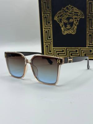 Hermes İthal Kadın Güneş Gözlük G3369-VLLZ