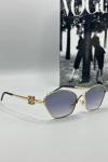 Loewe Metal Kasa Gold Çerçeve Kadın Güneş Gözlüğü G1383-ILY 
